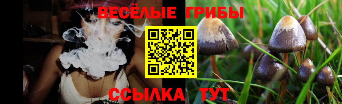 Галлюциногенные грибы ЛСД  Вход с VPN  Пугачёв 