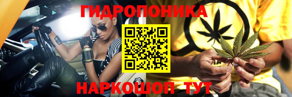 Пугачёв  Бошки Шишки марихуана  Марихуана White Widow  Бошки марихуана сатива  Вход с VPN 