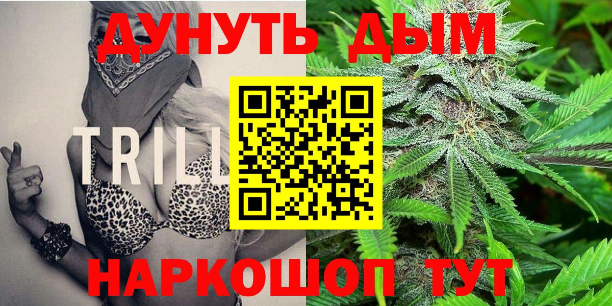 Конопля OG Kush Пугачёв